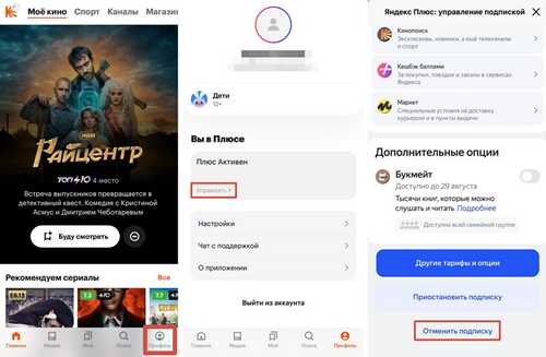 что такое gochatix и как он работает