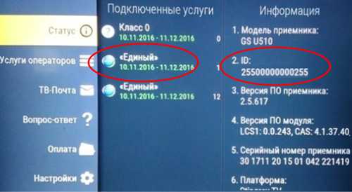 как выбрать подходящий пакет услуг триколор