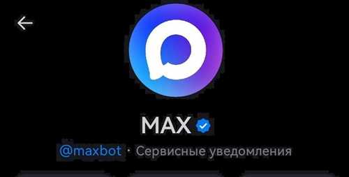 недостатки приложения max