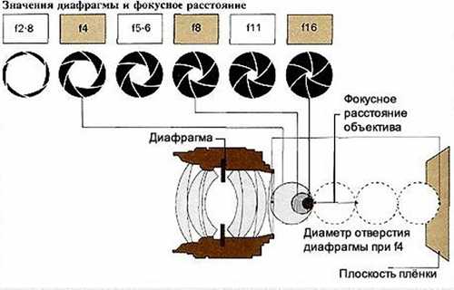 интерактивные возможности