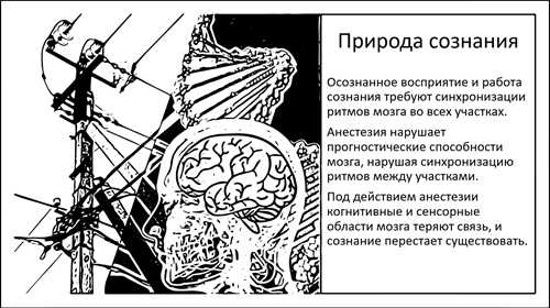 животные и растения