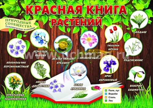 акустические и химические сообщения
