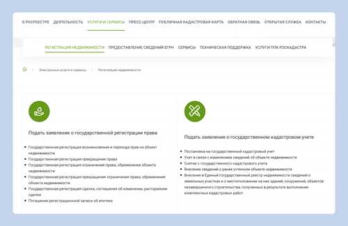 как проверить статус внесения в реестр и его последствия