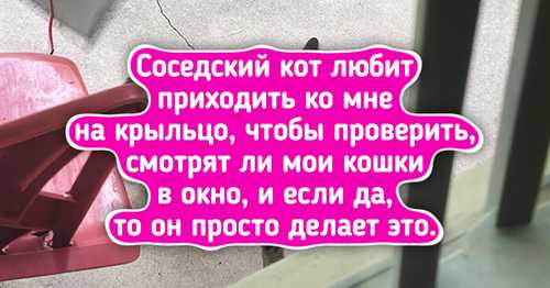 психология восприятия писем в современном мире