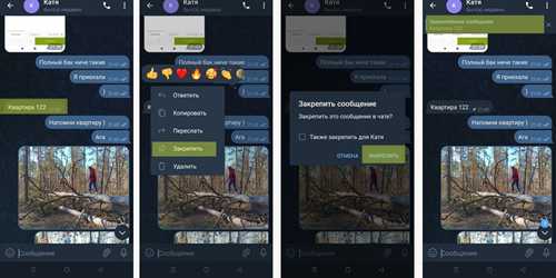 как закрепить сообщение в чате whatsapp