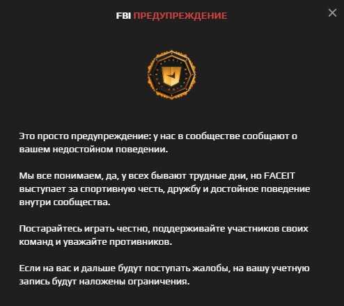 поддержка и приоритетное обслуживание пользователей