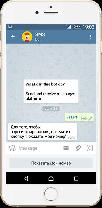 проблемы и решения при использовании sms-ботов