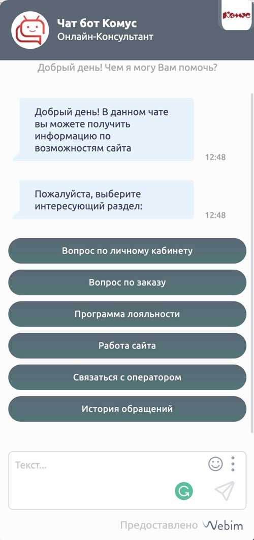 технические аспекты разработки sms-бота