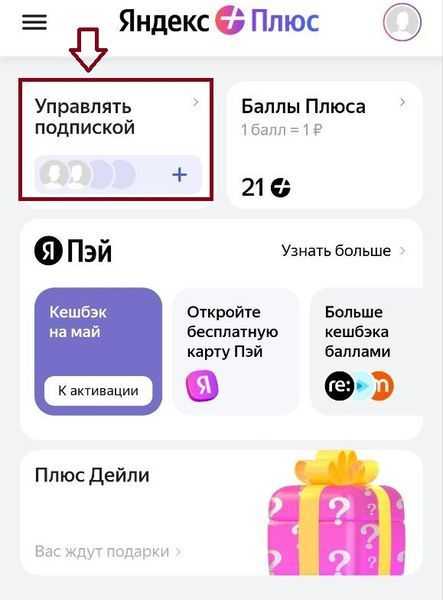 цена подписок яндекса: что влияют на стоимость и как выбрать оптимальный вариант