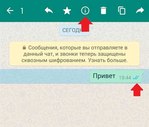 просмотр статусов сообщений
