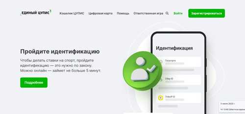 как расшифровать содержание письма от цупис