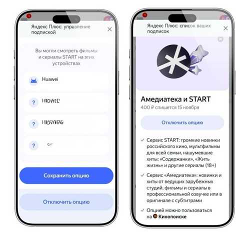 условия и стоимость подписки: что нужно знать перед оформлением