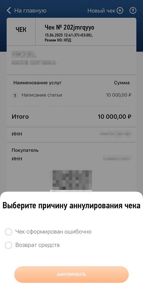 заполнение данных о доходах: практические советы