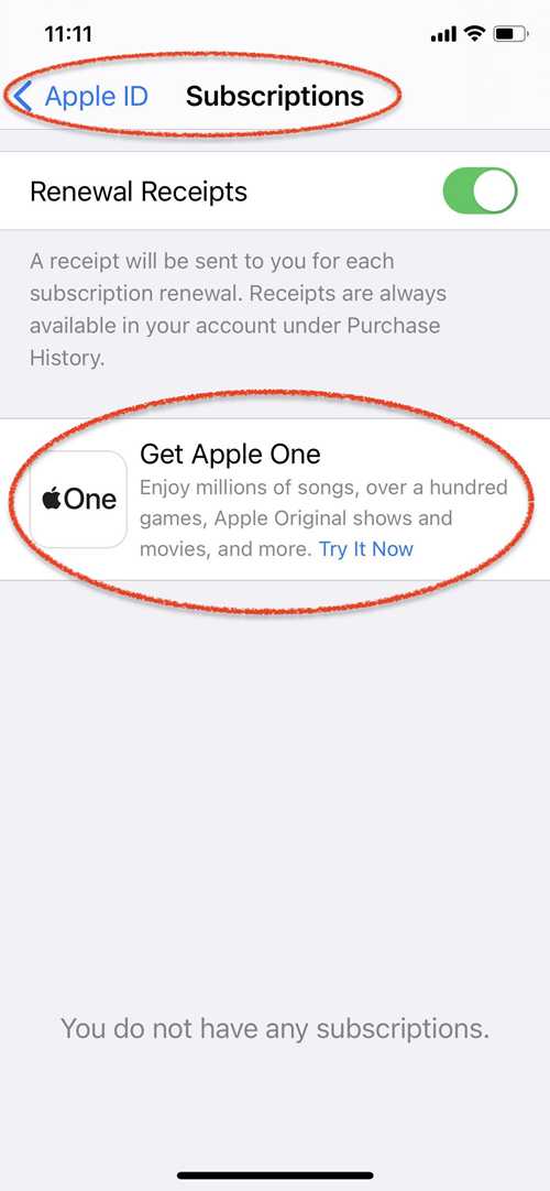 что делать при проблемах с подписками на iphone