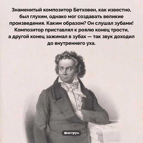 как правильно составить сообщение о композиторе для учебного проекта