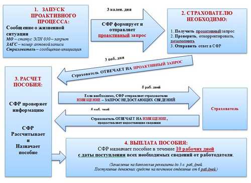функции и задачи системы добровольных сообщений