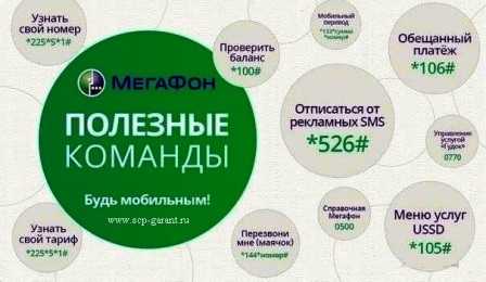что делать при получении неожиданного sms от мтс