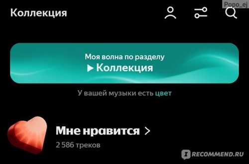 на настольных компьютерах (windows и macos)