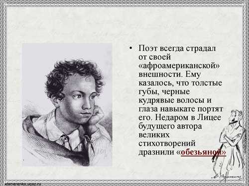 северные просторы и южные радости