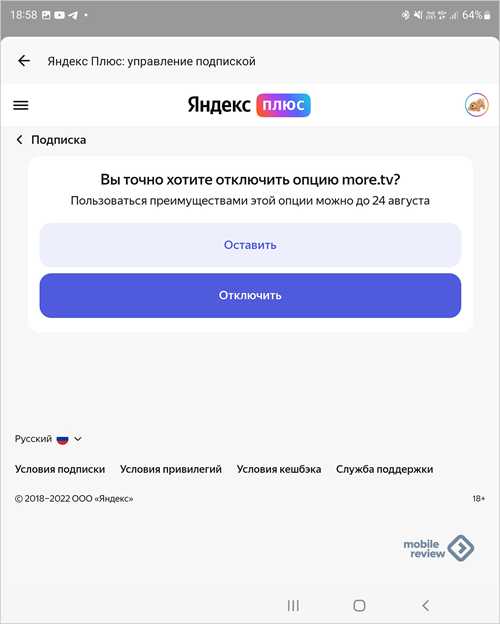 недостатки подписки